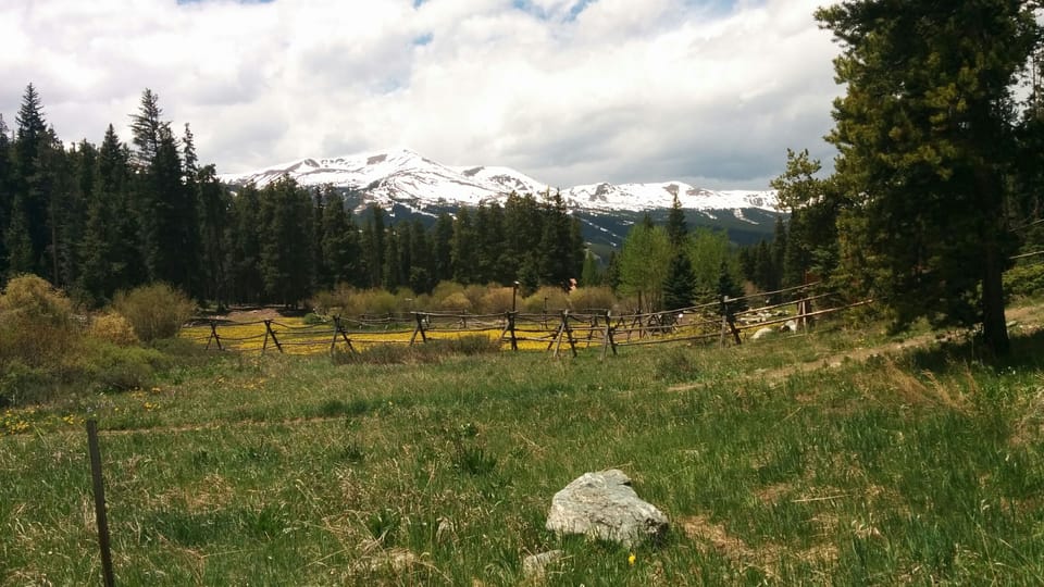 Fabulous hiking trails with beautiful views...