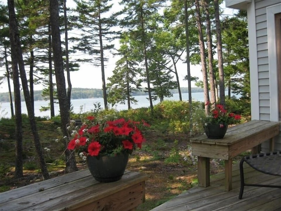 one view from deck