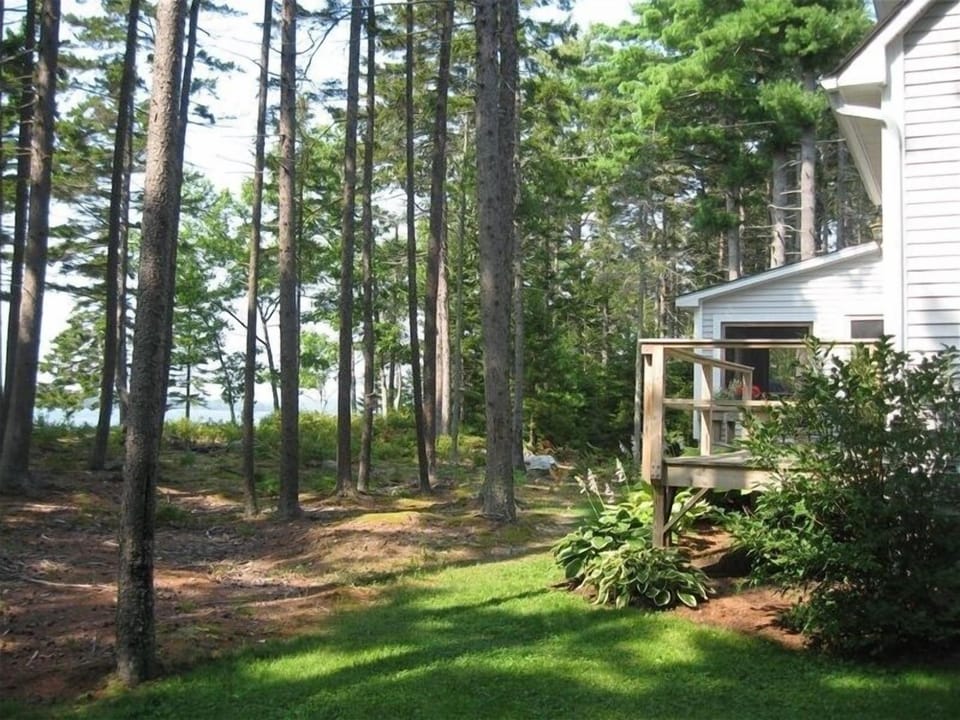 deck and screened in porch