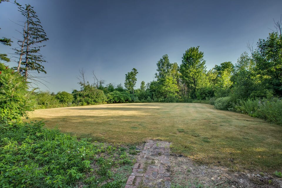 open field in the back