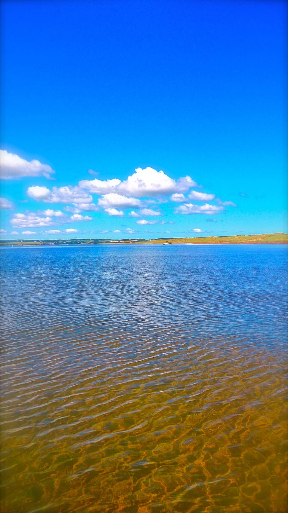 We are a 7 km from the  popular Cavendish beach and we provide a free park pass.
