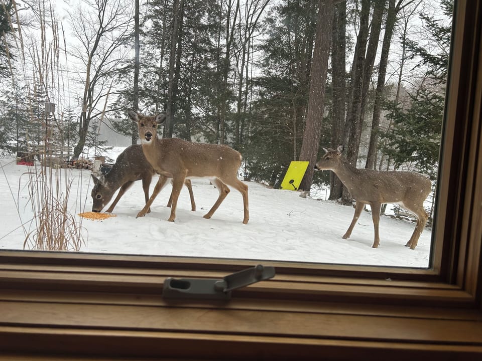 View from property