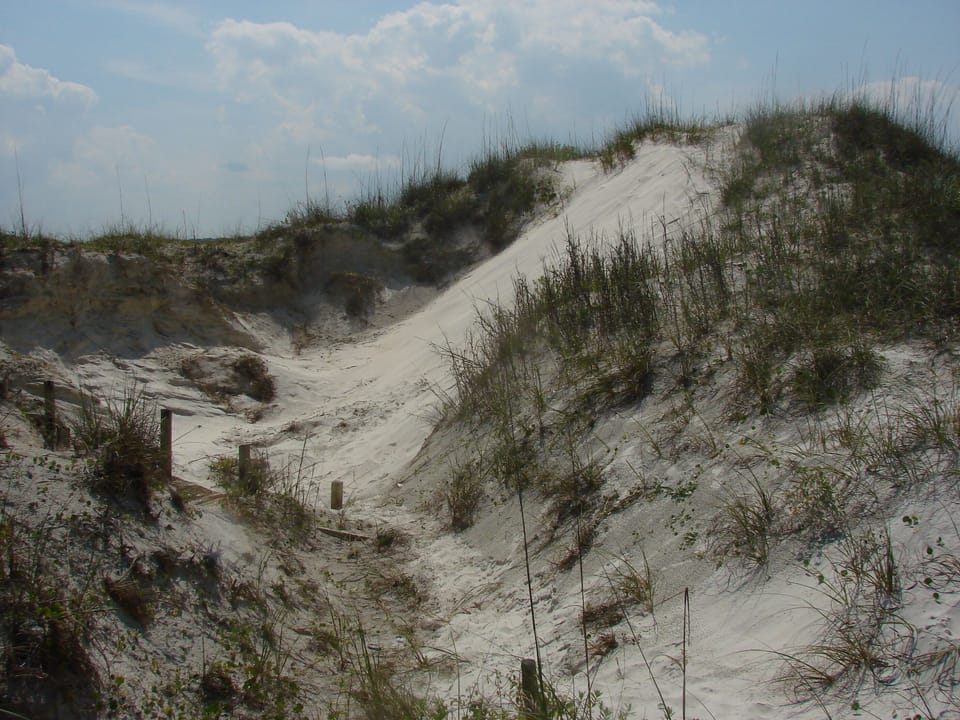 Smyrna Dunes Park, 10 to 15 min drive from condo 
