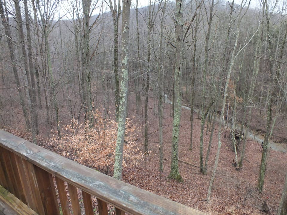Rear Deck Overlooking Mountain Stream
