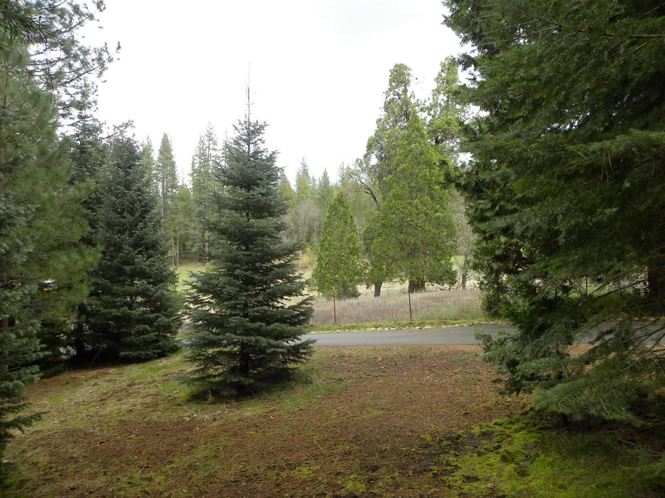View from yurt porch. 