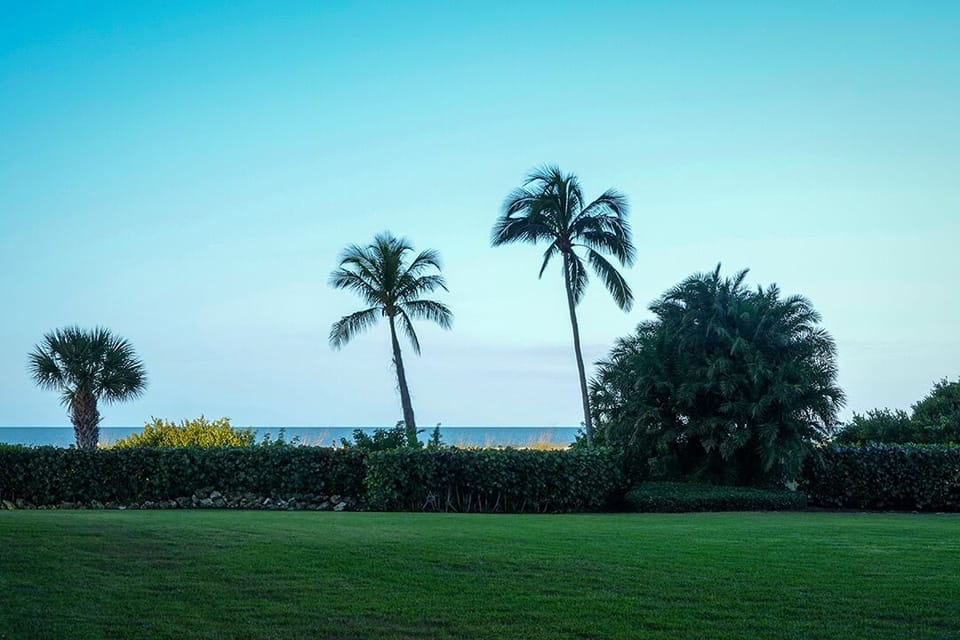 View from patio