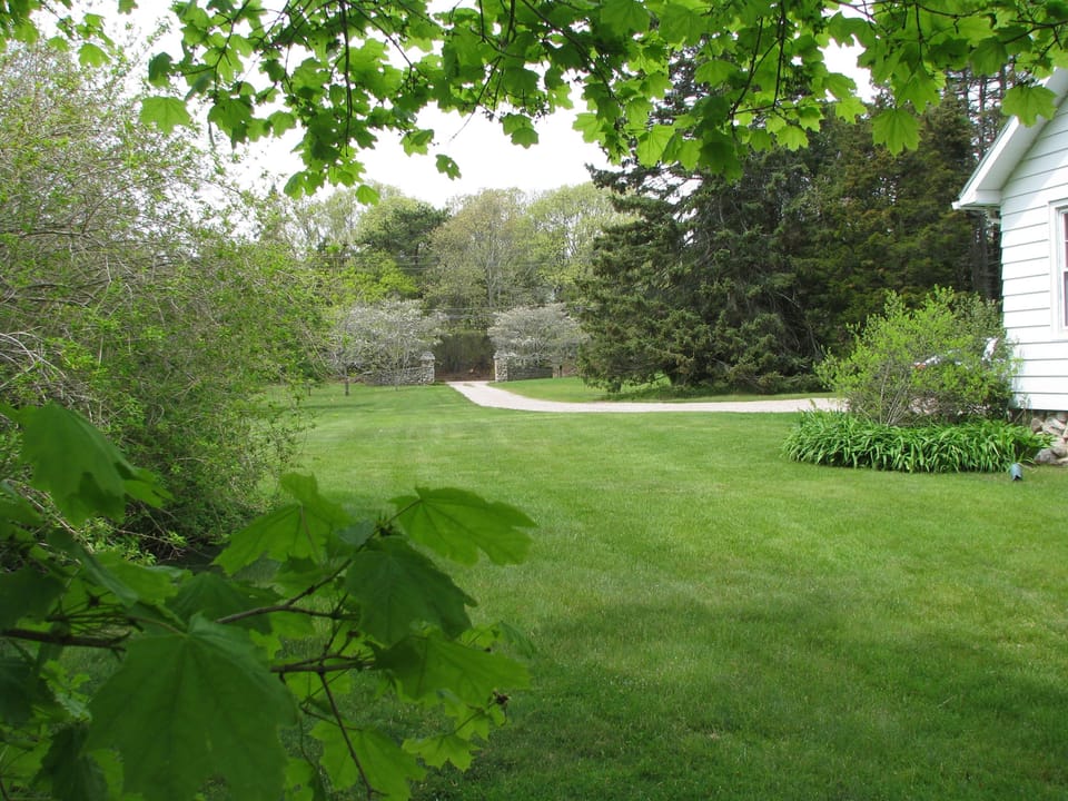 view towards the road from the house
