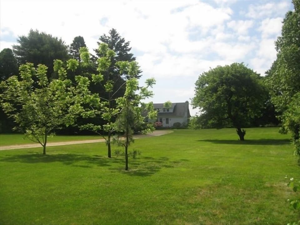 Well-kept huge lawn great for kids and games