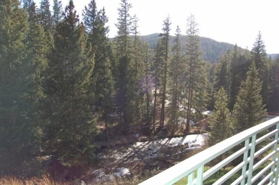 View of the river right off the back patio