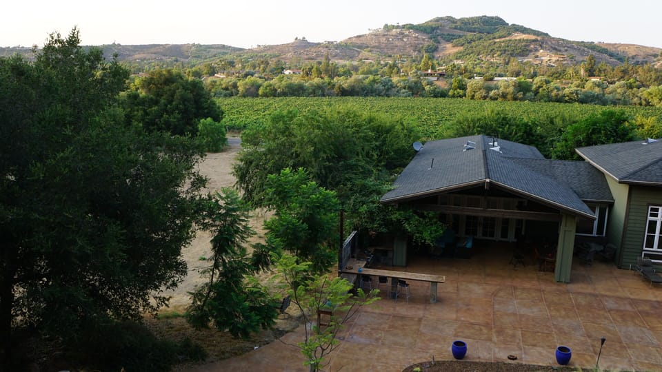 Acres of Vineyard Views in front.


