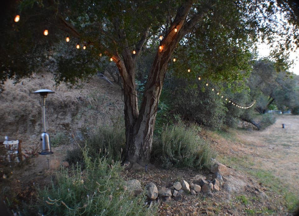 Outdoor lighting
