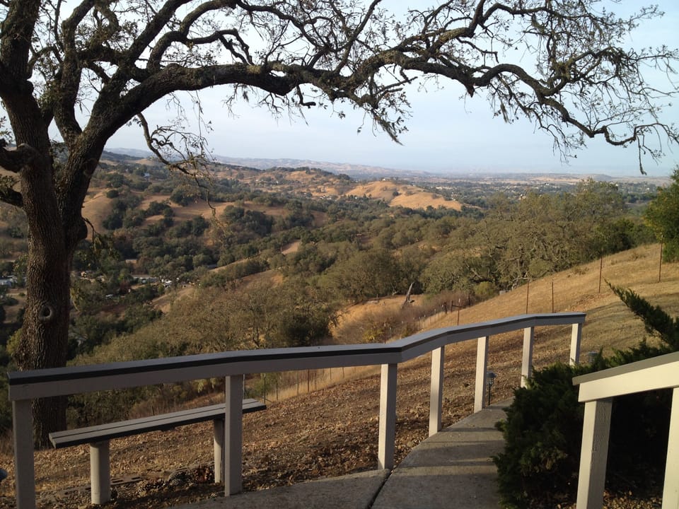 Surrounded by beautiful views amongst the treetops