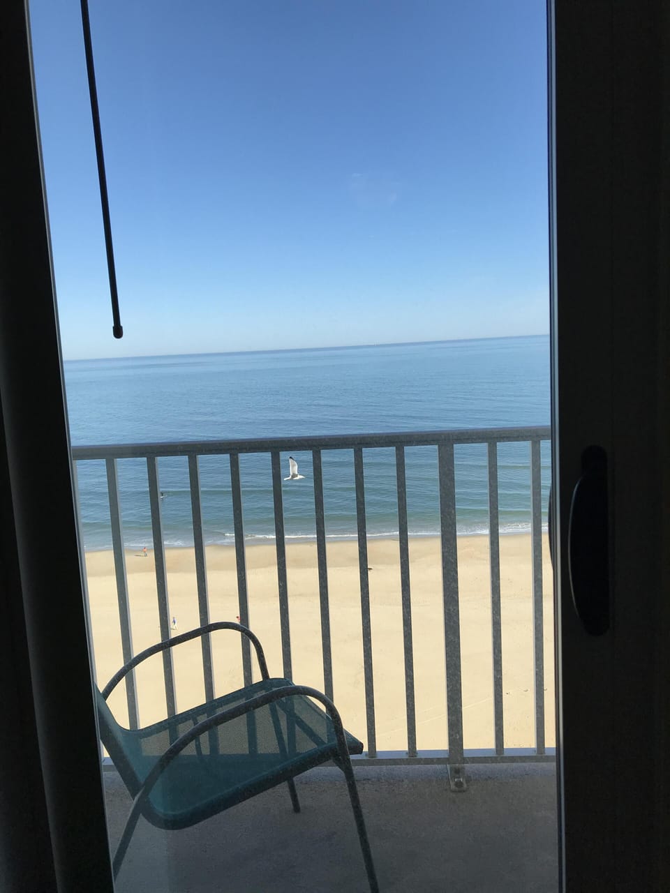 Balcony view-- we often see  dolphins!