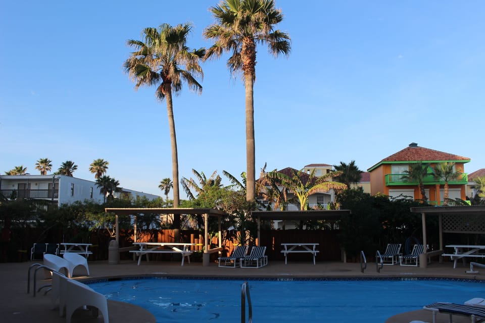 great pool with plenty of places to hide under the shade
