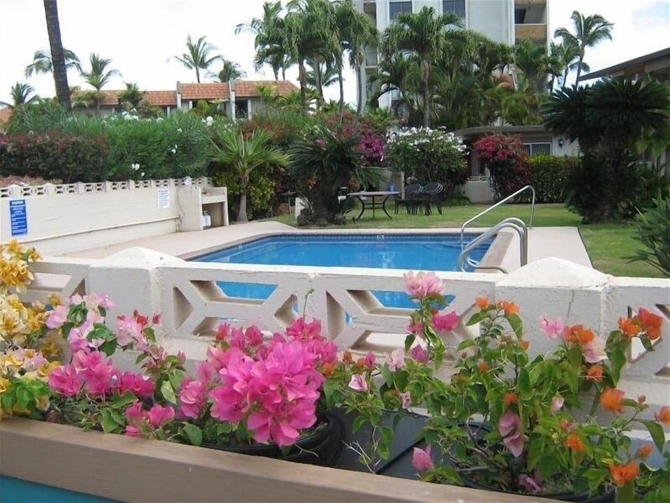 Pool and Courtyard