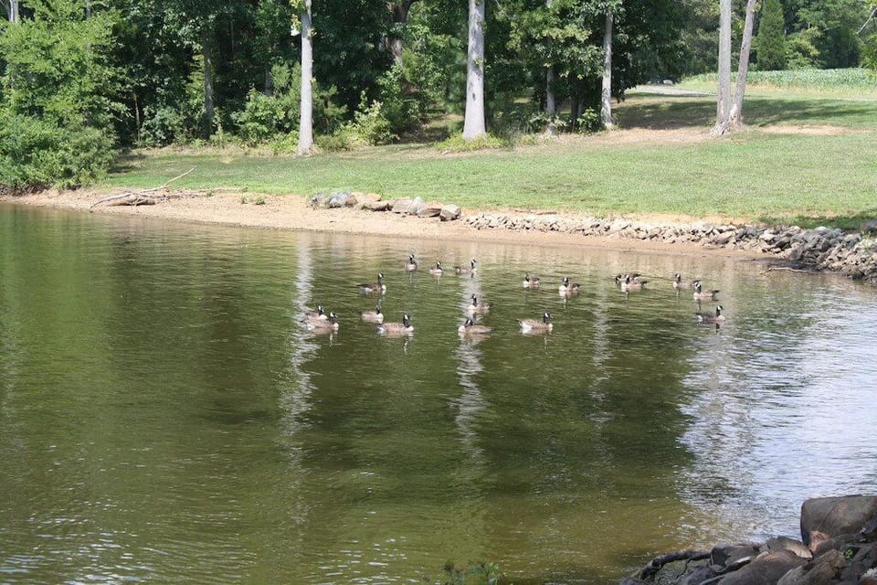 Lake