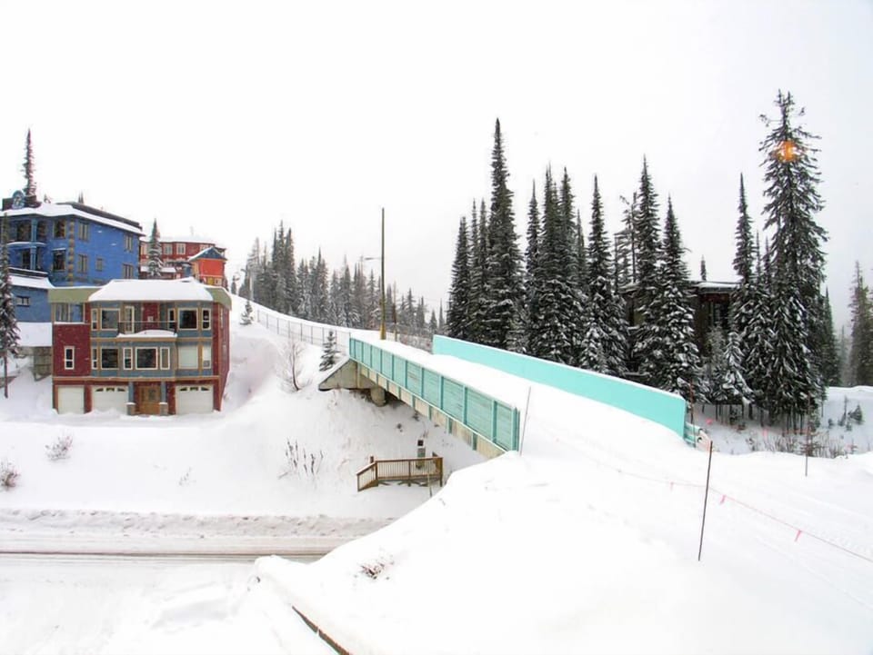 Ski in Ski out right from the property. 