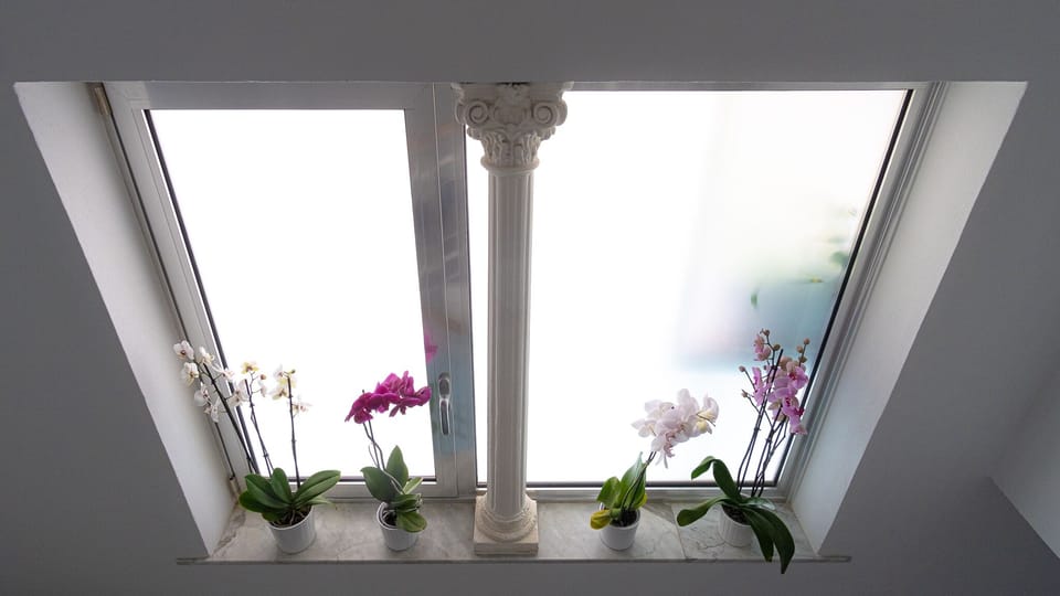 The Window Stairs