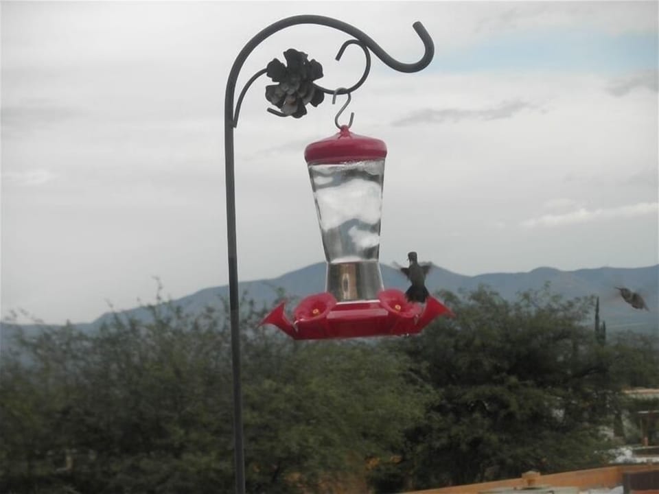 Some of the Fun of the Casita!!