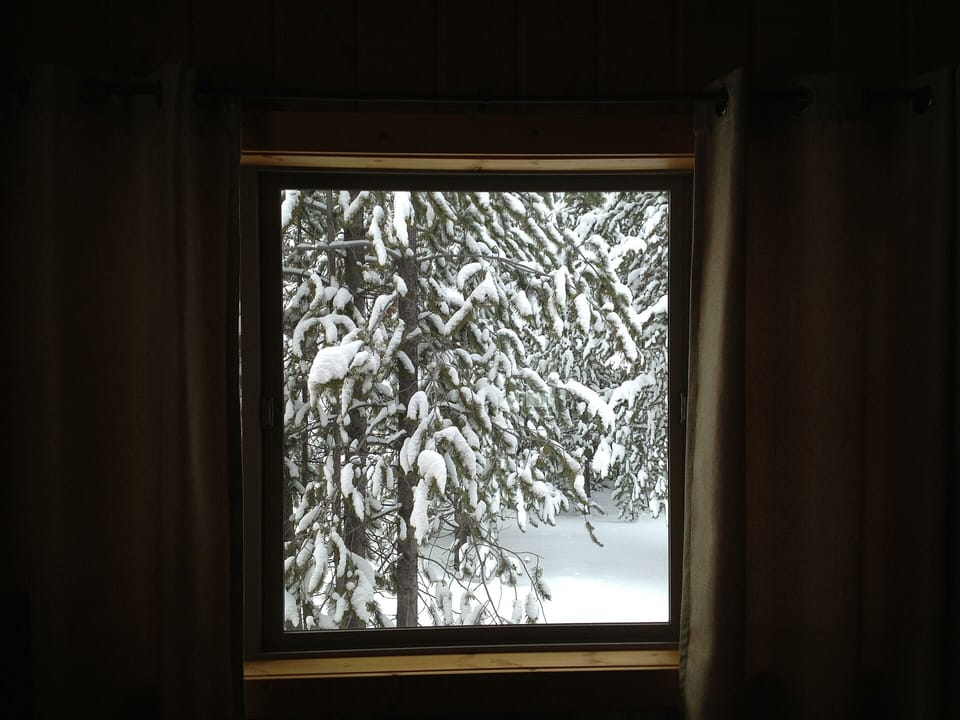 Mini-Moose Cabin - Winter Wonderland!