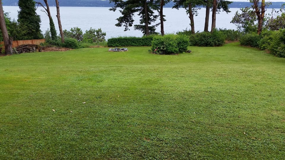 Plenty of room for croquet and enjoying the firepit.