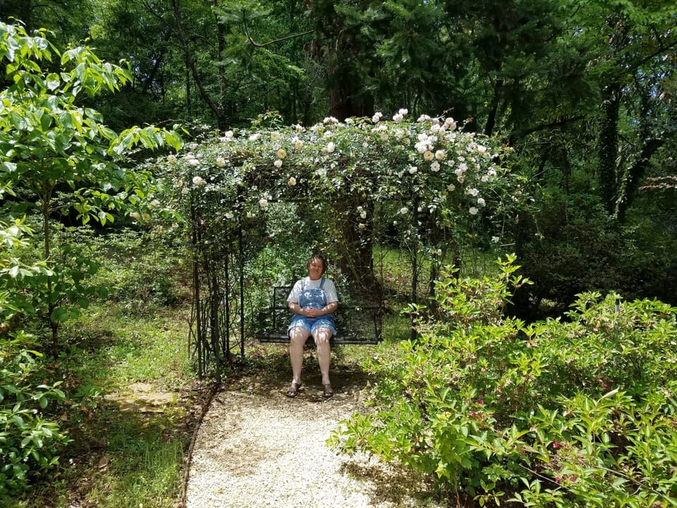 come join me under the rose arbor