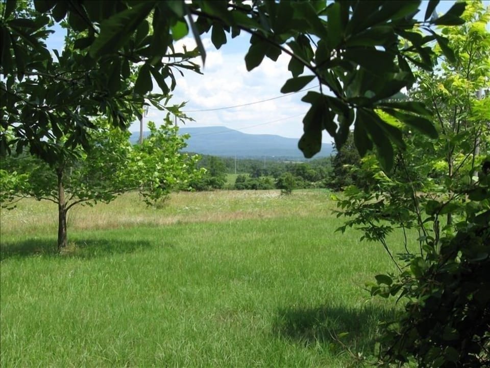View of Mt. Magazine 