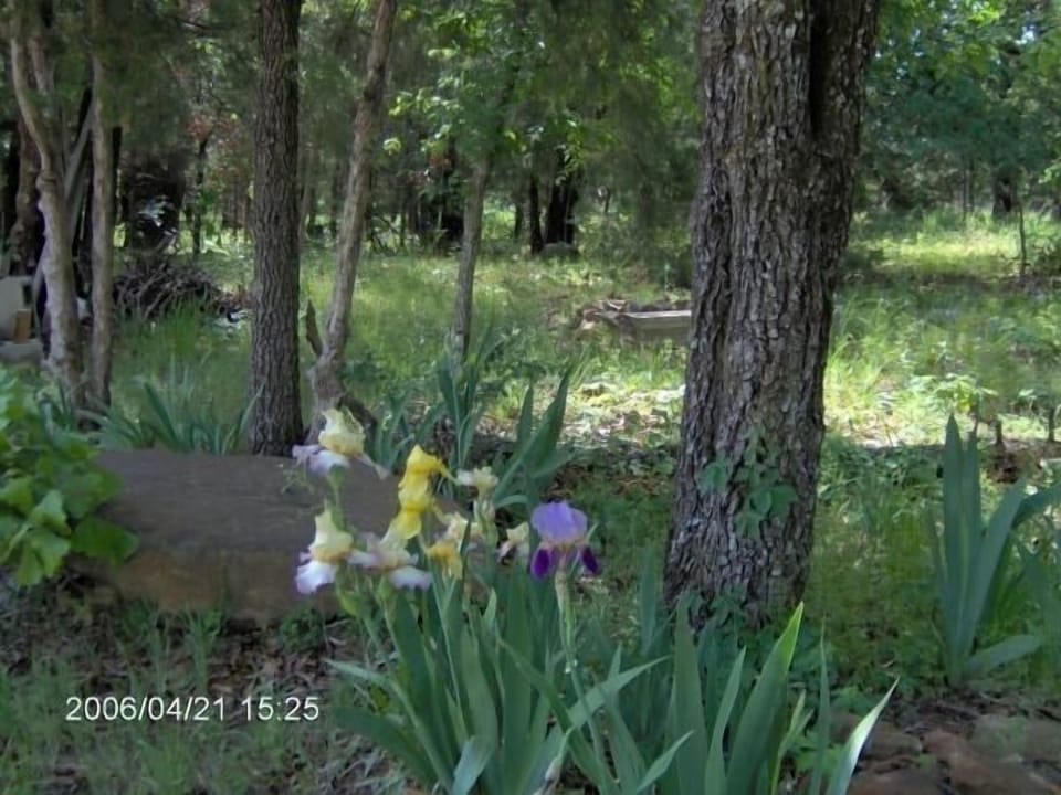 close to nature