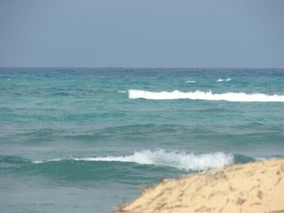 Nice waves, good to surf or windsurf