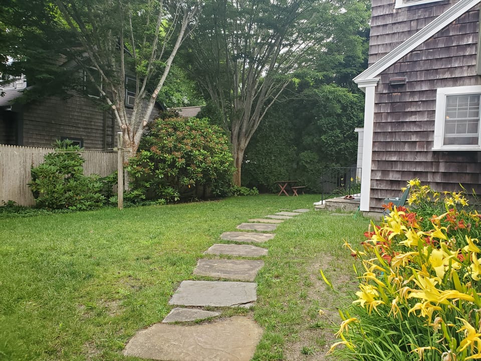 back yard
