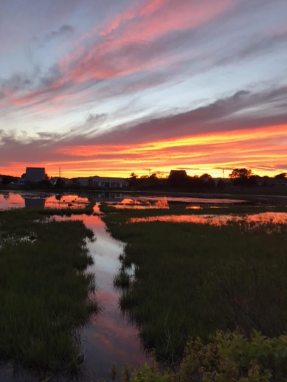 Backyard (overlooking the tidal marsh) watching the sunset... gorgeous! 