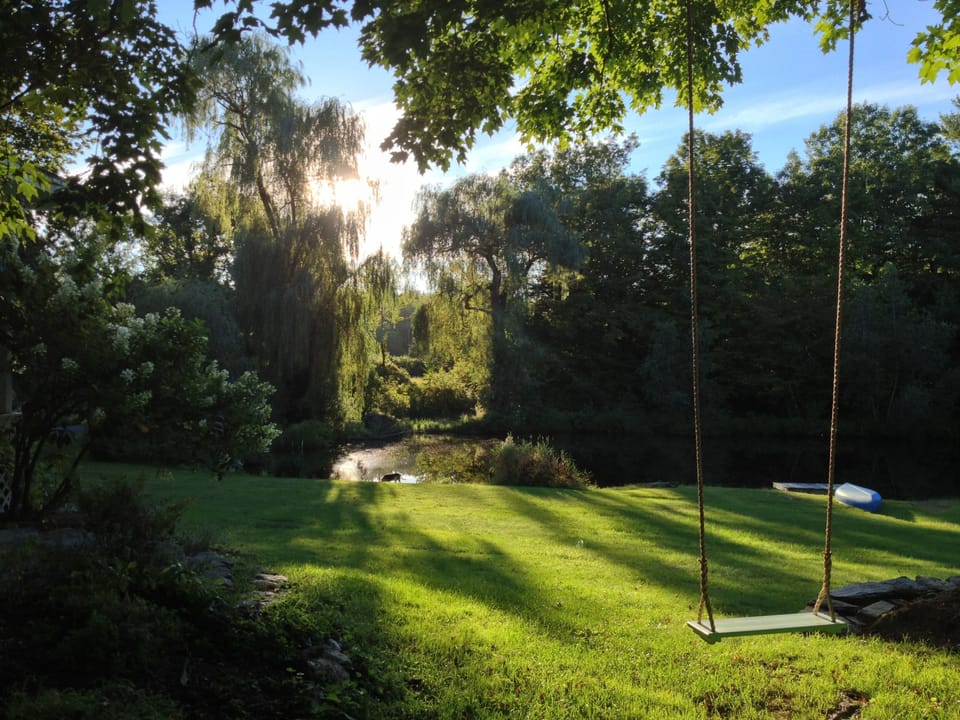 Swing outside the kitchen window.
