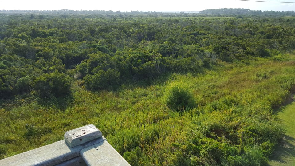 Looking off the top deck, the sound is in the background