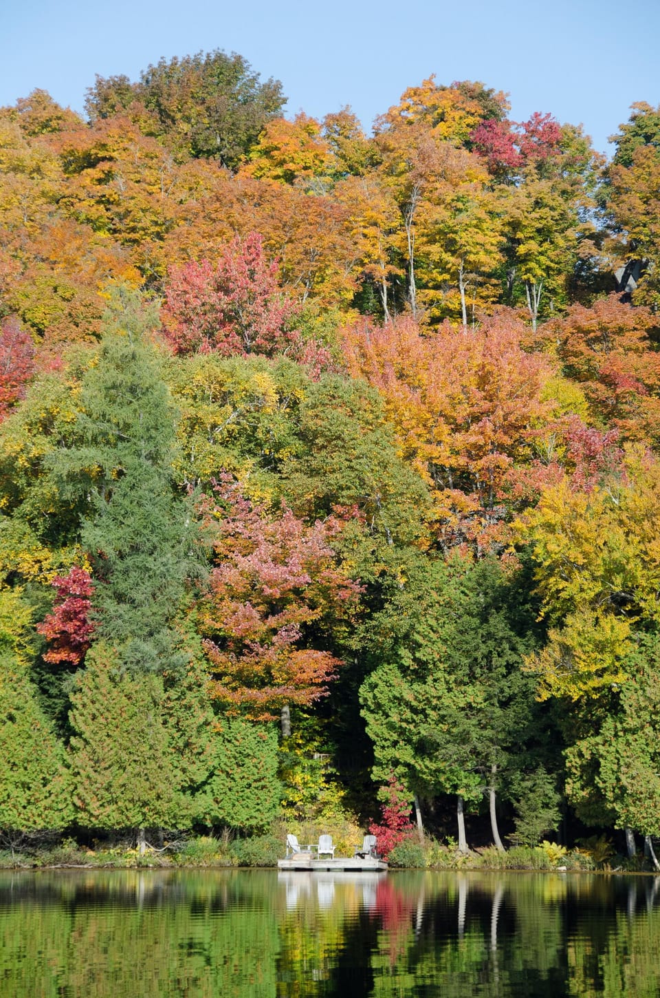 Shoreline view of the Oasis in spectacular Fall colours