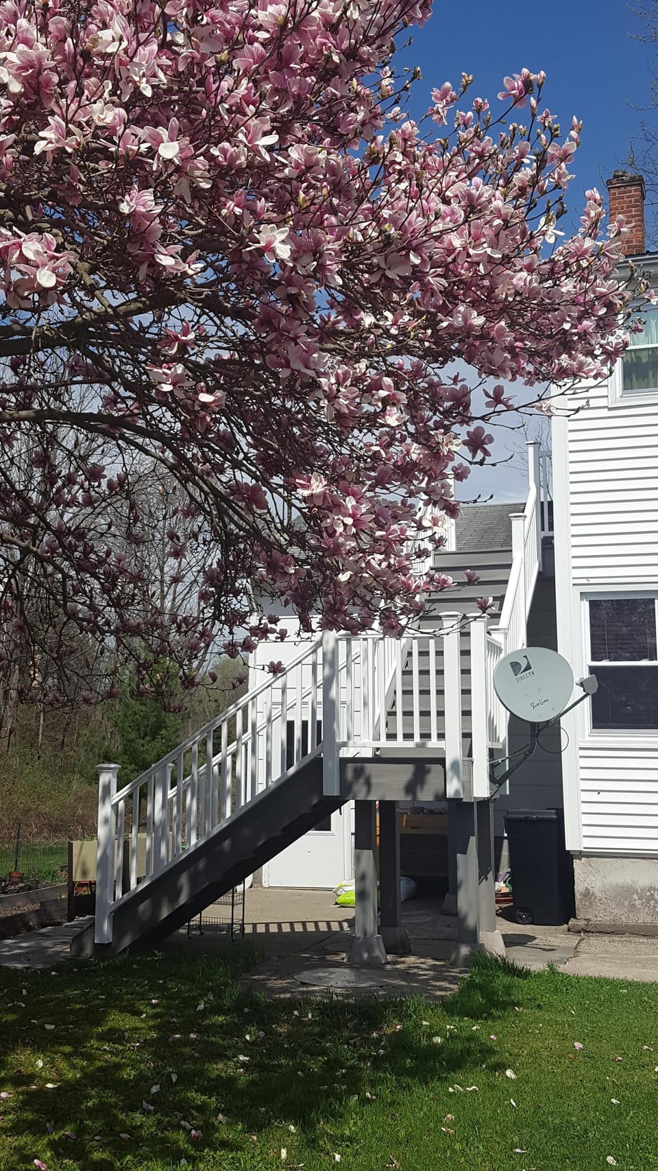 Stairs leading up to the apartment

