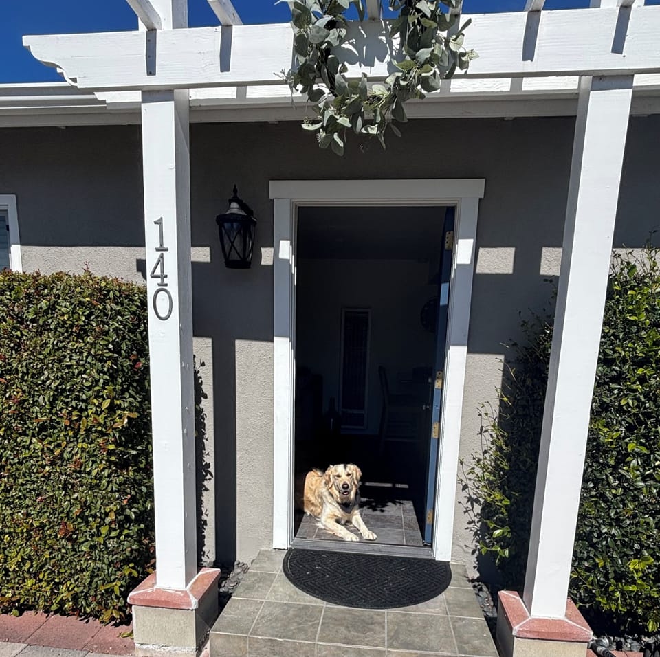 Pet friendly