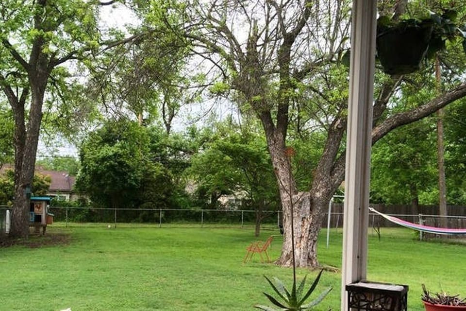 backyard