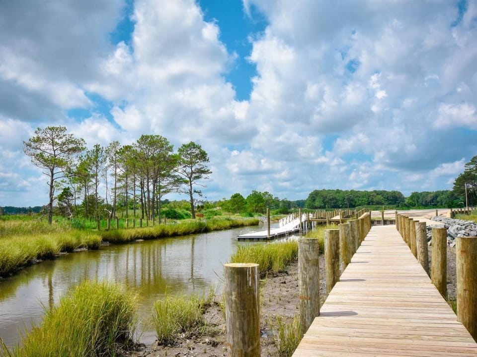 Boardwalk to boat launch