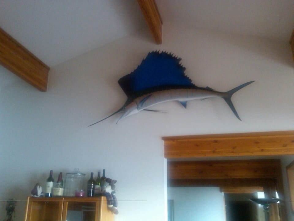 View of Vaulted Kitchen Wall
