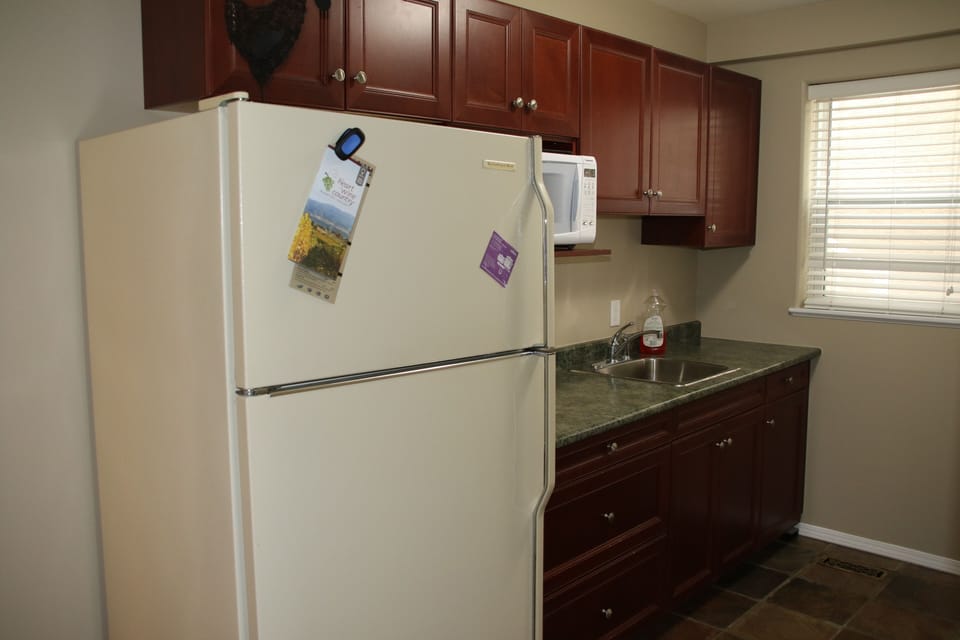Second fridge in lower lake level with a counter top and sink.  Perfect bar !