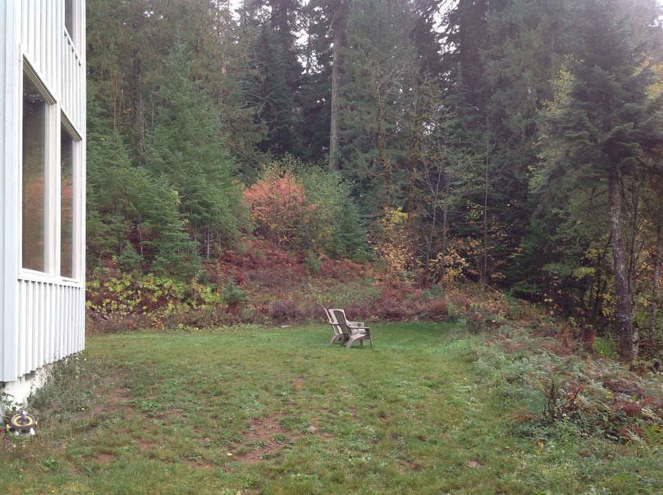 Large front yard for playing and watching the river