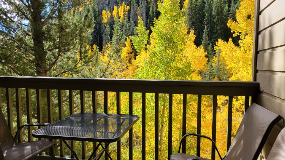 Balcony view onto bike path