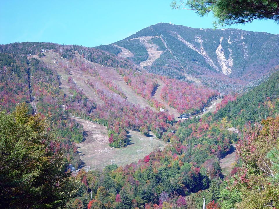 Whiteface in fall seaon.