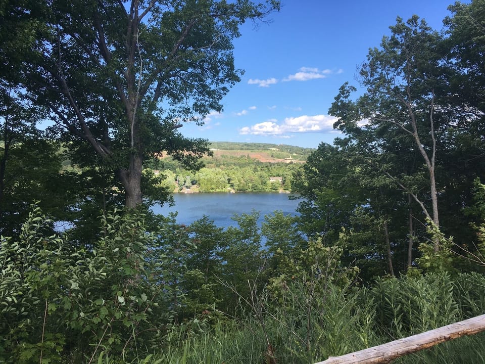 over looking Portage Canal from the yard. 