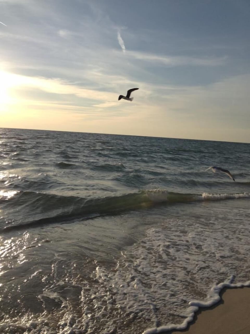 Picture Perfect