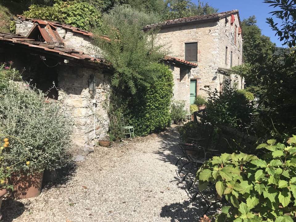 Front of house and shed approaching from the parking area