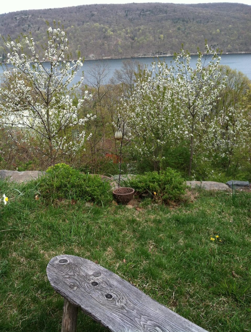 The peaceful meditation bench near the garden