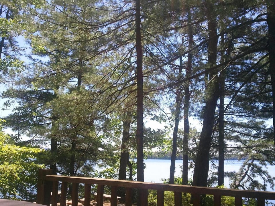 Another view from the deck