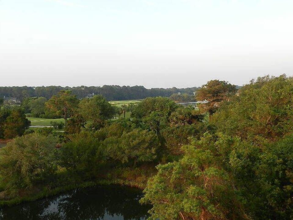 view from balcony