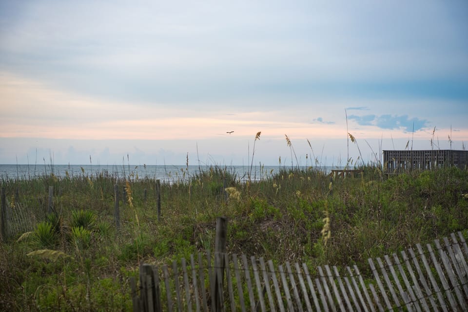 Beautiful dune located between the Windjammer and the beach.